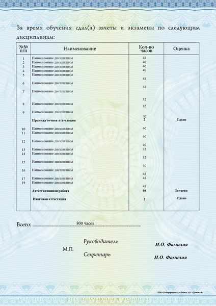 Выдаваемый документ - 3